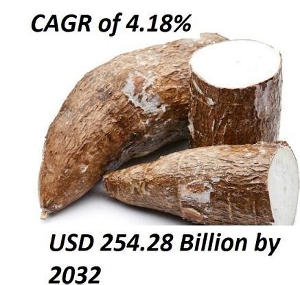 us cassava market by form|Cassava Market .